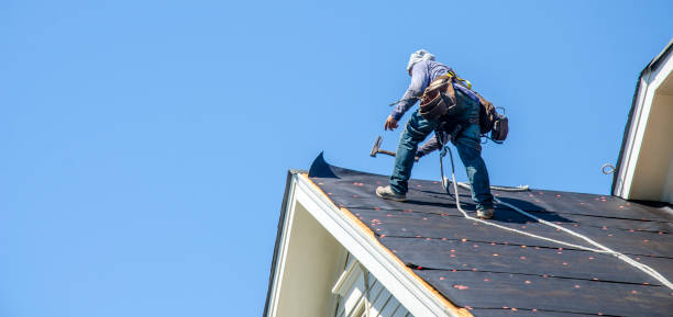 Best Roof Leak Repair  in Ball, LA